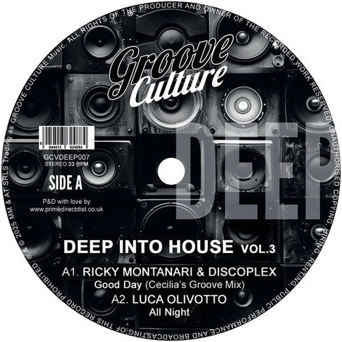 Various Artists - Deep Into House Vol. 3 / Various (Vinyl) { Vinyl } 【 VINYL 】