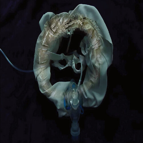 Initiatrix (Vinyl) { Vinyl } 【 VINYL 】