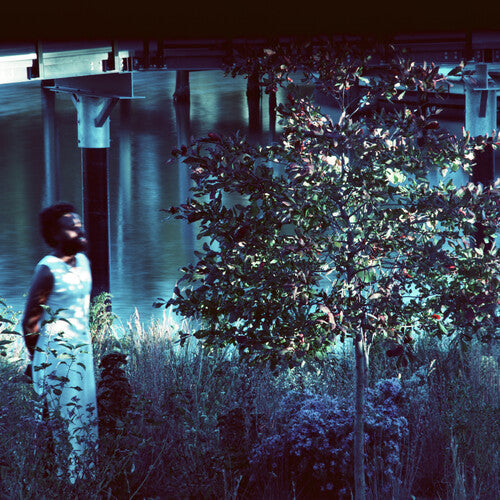 Jjjjjerome Ellis - Vesper Sparrow (Vinyl) { Vinyl } 【 VINYL 】