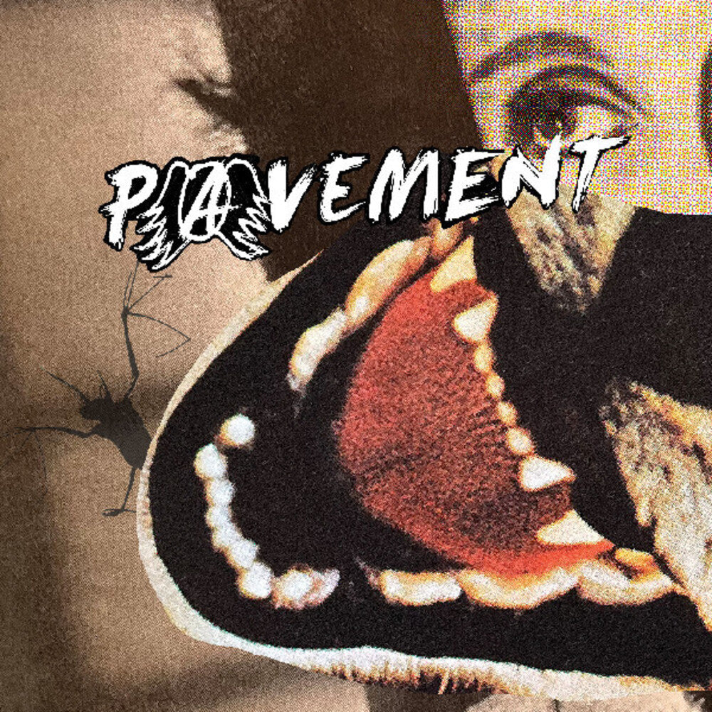 Pavement - Hecklers Choice: Big Gums And Heavy Lifters (LP) { Vinyl } 【 VINYL 】