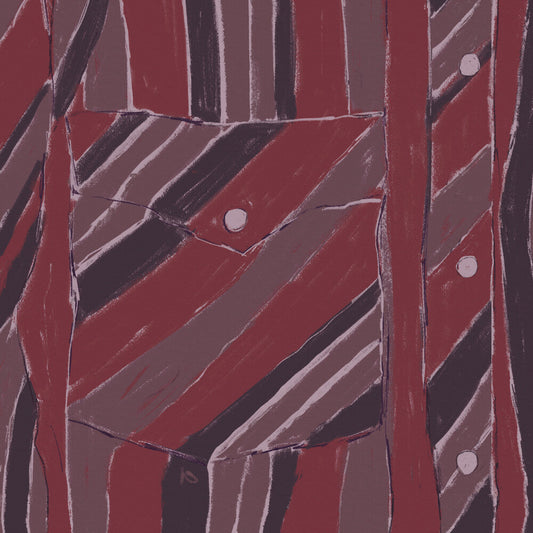 Jake Xerxes Fussell - Rebuilding (LP) { Vinyl } 【 VINYL 】
