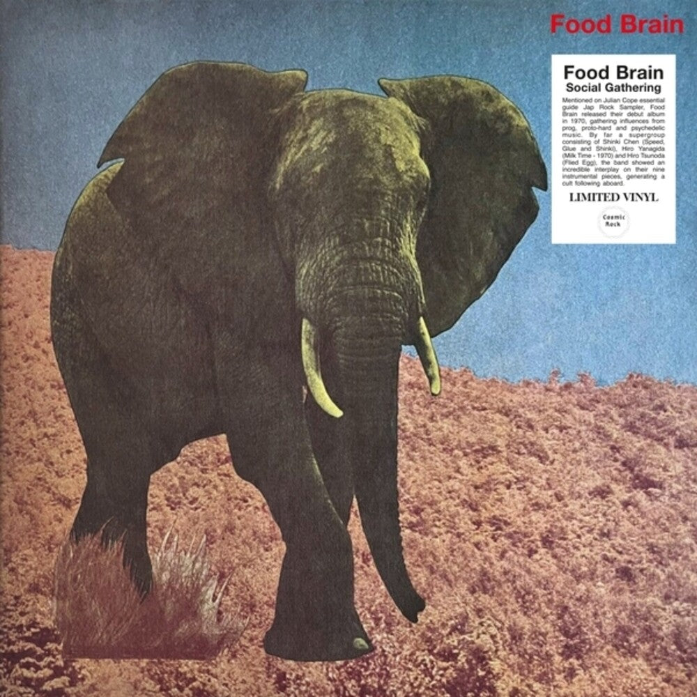 Food Brain - Social Gathering (LP) { Vinyl } 【 VINYL 】
