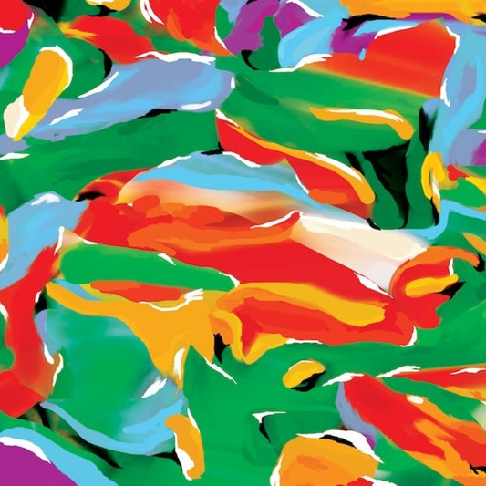 Auntie Flo - Birds Of Paradise (LP) { Vinyl } 【 VINYL 】