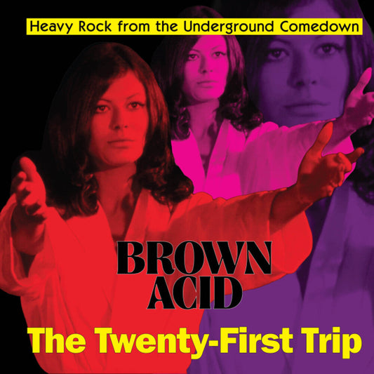 Various Artists - Brown Acid - The Twenty-First Trip (LP) { Vinyl } 【 VINYL 】