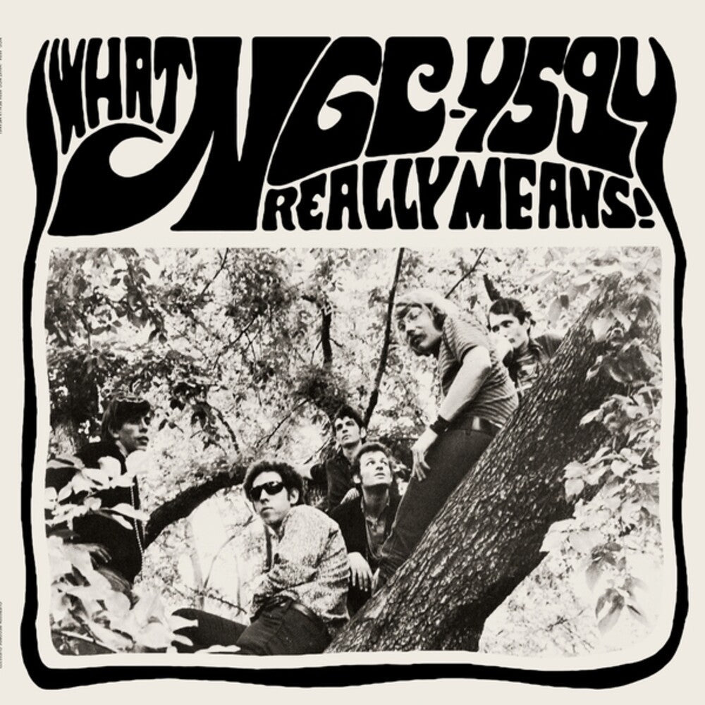 Ngc-4594 - What Ngc-4594 Really Means (LP) { Vinyl } 【 VINYL 】