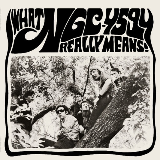 Ngc-4594 - What Ngc-4594 Really Means (LP) { Vinyl } 【 VINYL 】