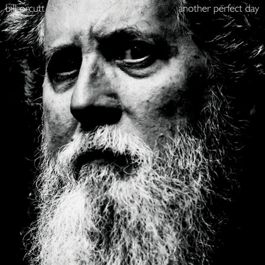 Bill Orcutt - Another Perfect Day (LP) { Vinyl } 【 VINYL 】