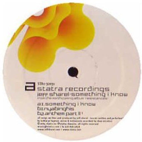 Something I Know { Vinyl } 【 VINYL 】