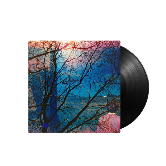 Idlewild { Vinyl } 【 VINYL 】