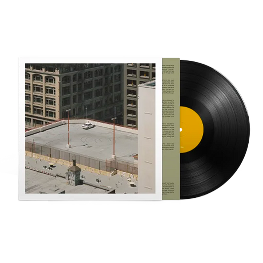The Car { Vinyl } 【 VINYL 】