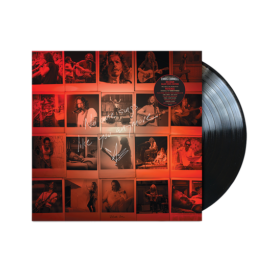 No One Sings Like You Anymore { Vinyl } 【 VINYL 】