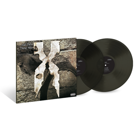 ...And ThenThere Was X (2LP) (Black Ice) { Vinyl } 【 VINYL 】
