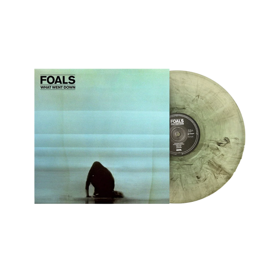 What Went Down { Vinyl } 【 VINYL 】