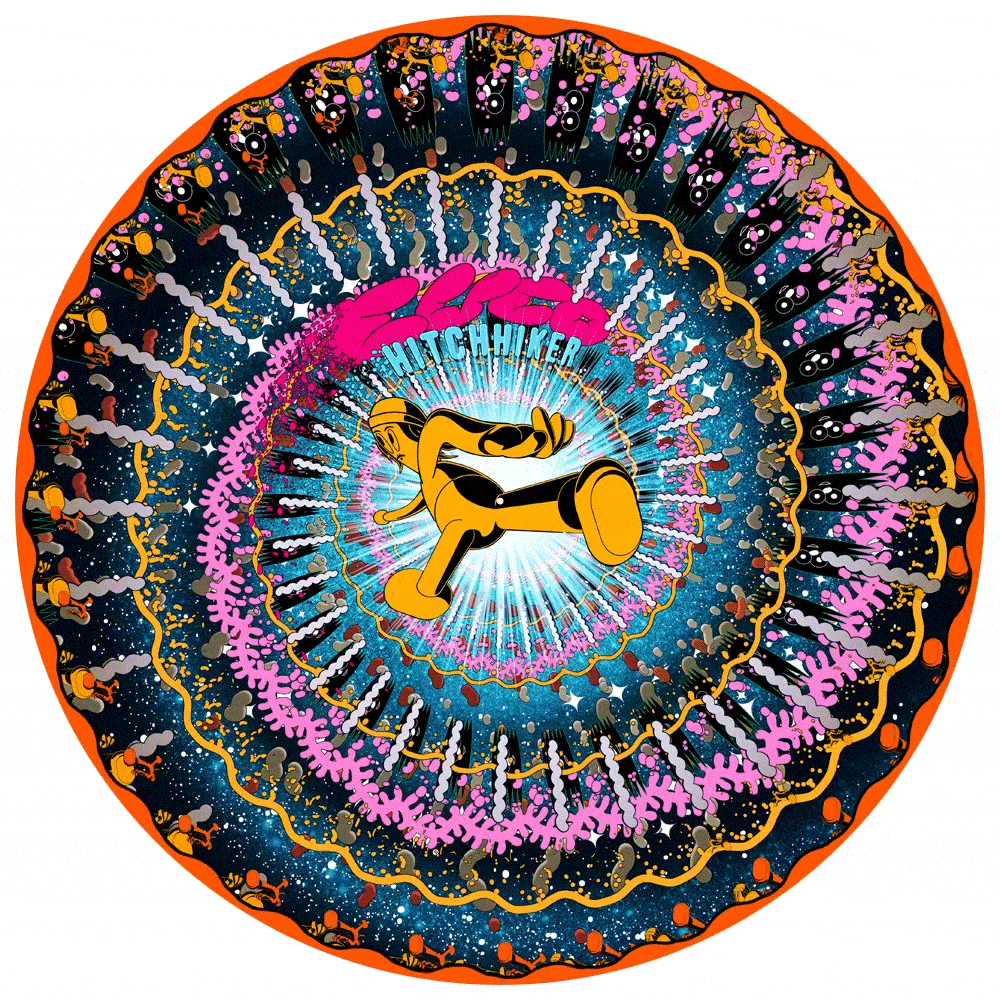 Hitchhiker (Zoetrope Picture Disc) { Vinyl } 【 VINYL 】