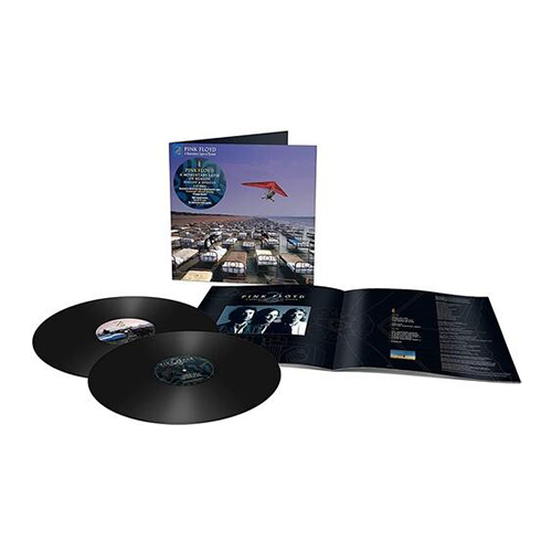 Momentary Lapse of Reason { Vinyl } 【 VINYL 】