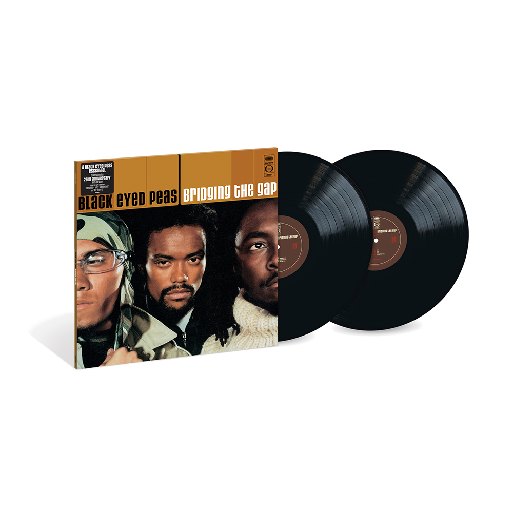 Bridging the Gap (2LP) { Vinyl } 【 VINYL 】
