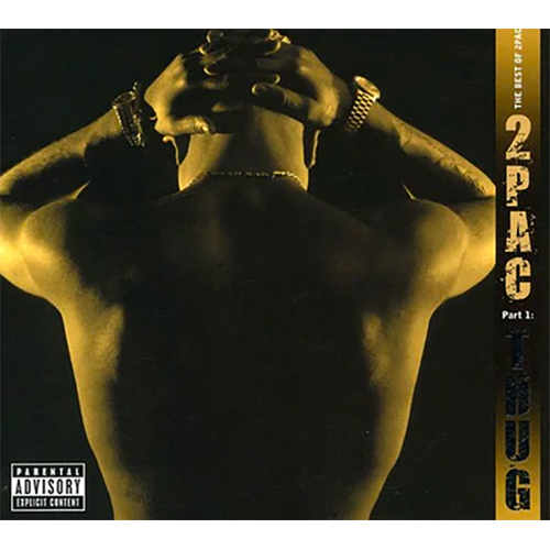 The Best Of 2Pac - Part 1: Thug { Vinyl } 【 VINYL 】
