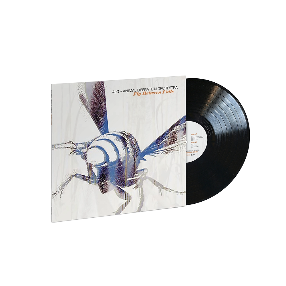 Fly Between Falls { Vinyl } 【 VINYL 】
