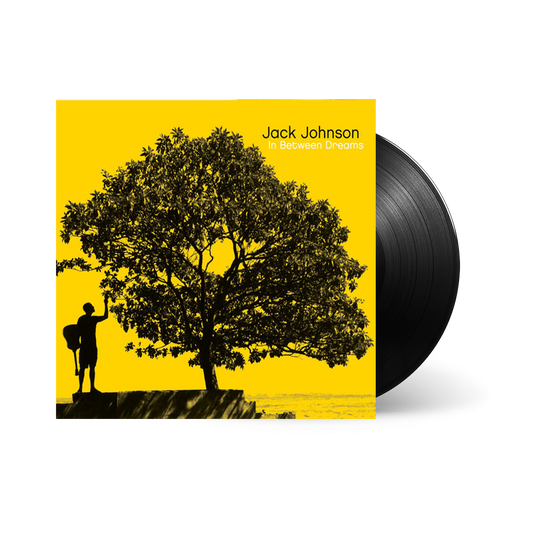 In Between Dreams { Vinyl } 【 VINYL 】