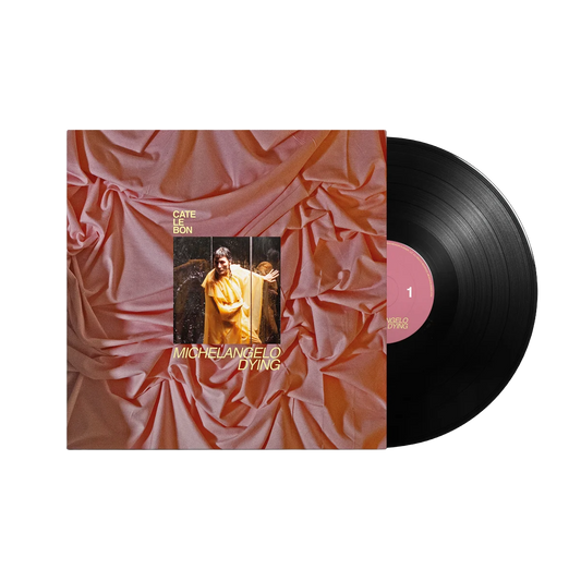 Michelangelo Dying { Vinyl } 【 VINYL 】