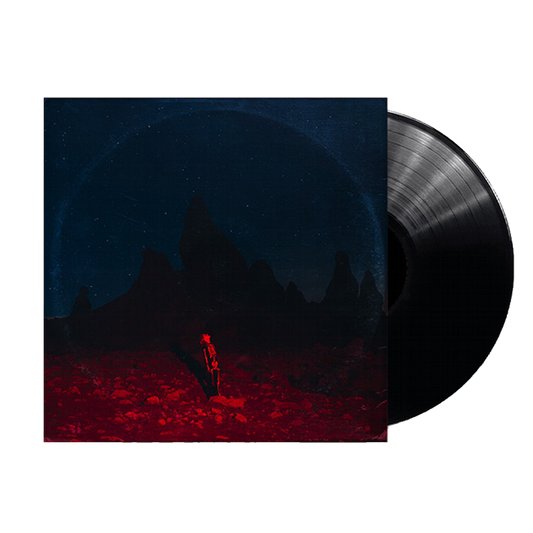 Punisher { Vinyl } 【 VINYL 】