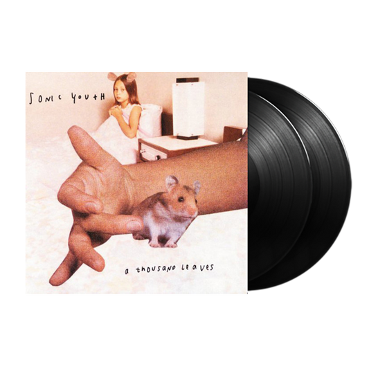 A Thousand Leaves { Vinyl } 【 VINYL 】